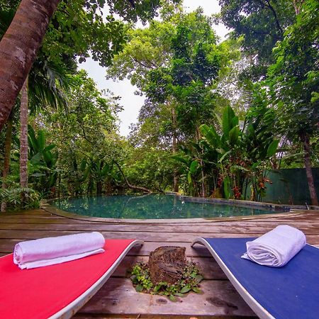 Wild Nest Villa Unawatuna Exteriör bild